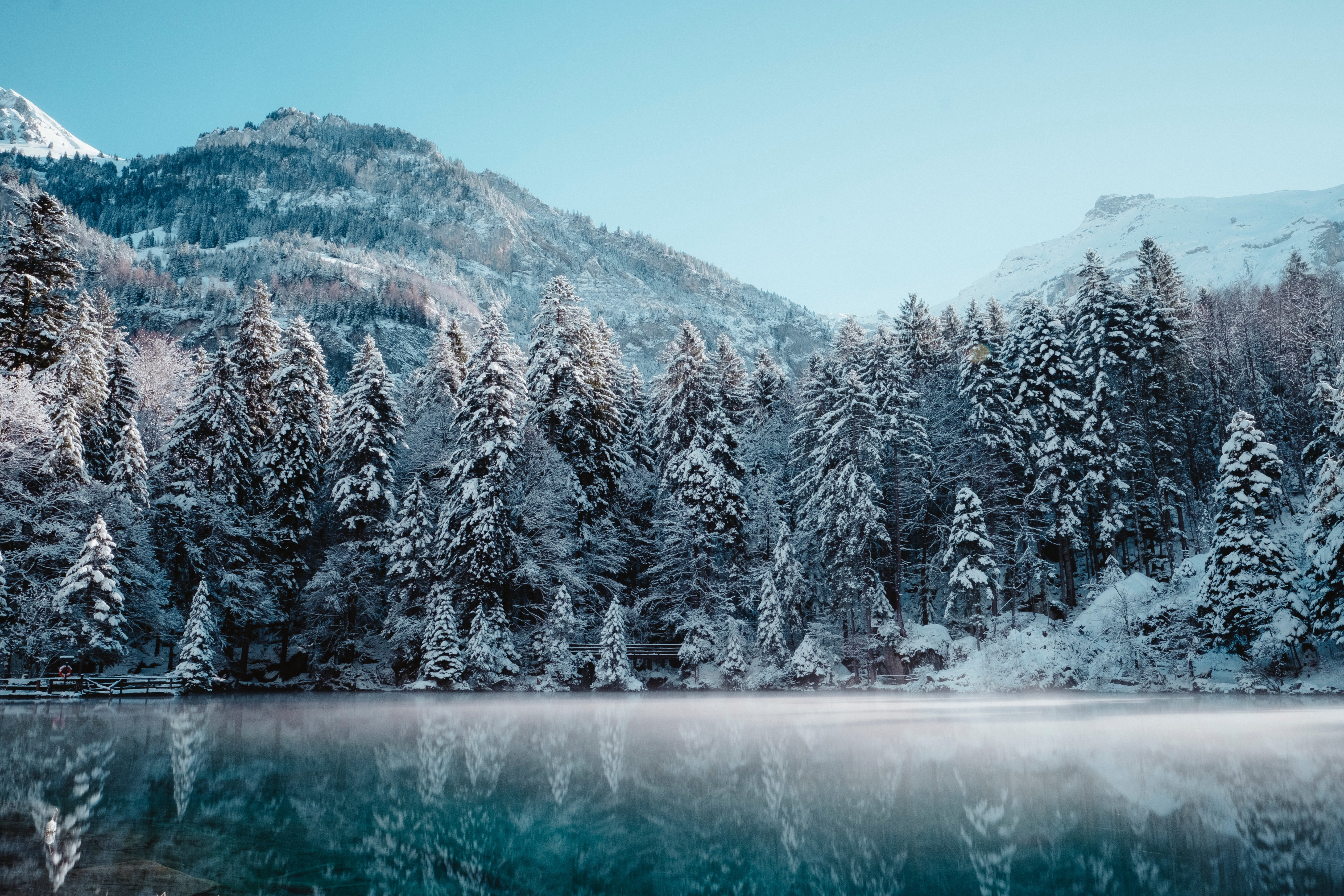 Montanhas nevadas, Geleira, Congelado, Névoa, Lago, Reflexo, Coberto de neve, Árvores, Floresta de inverno, 5K