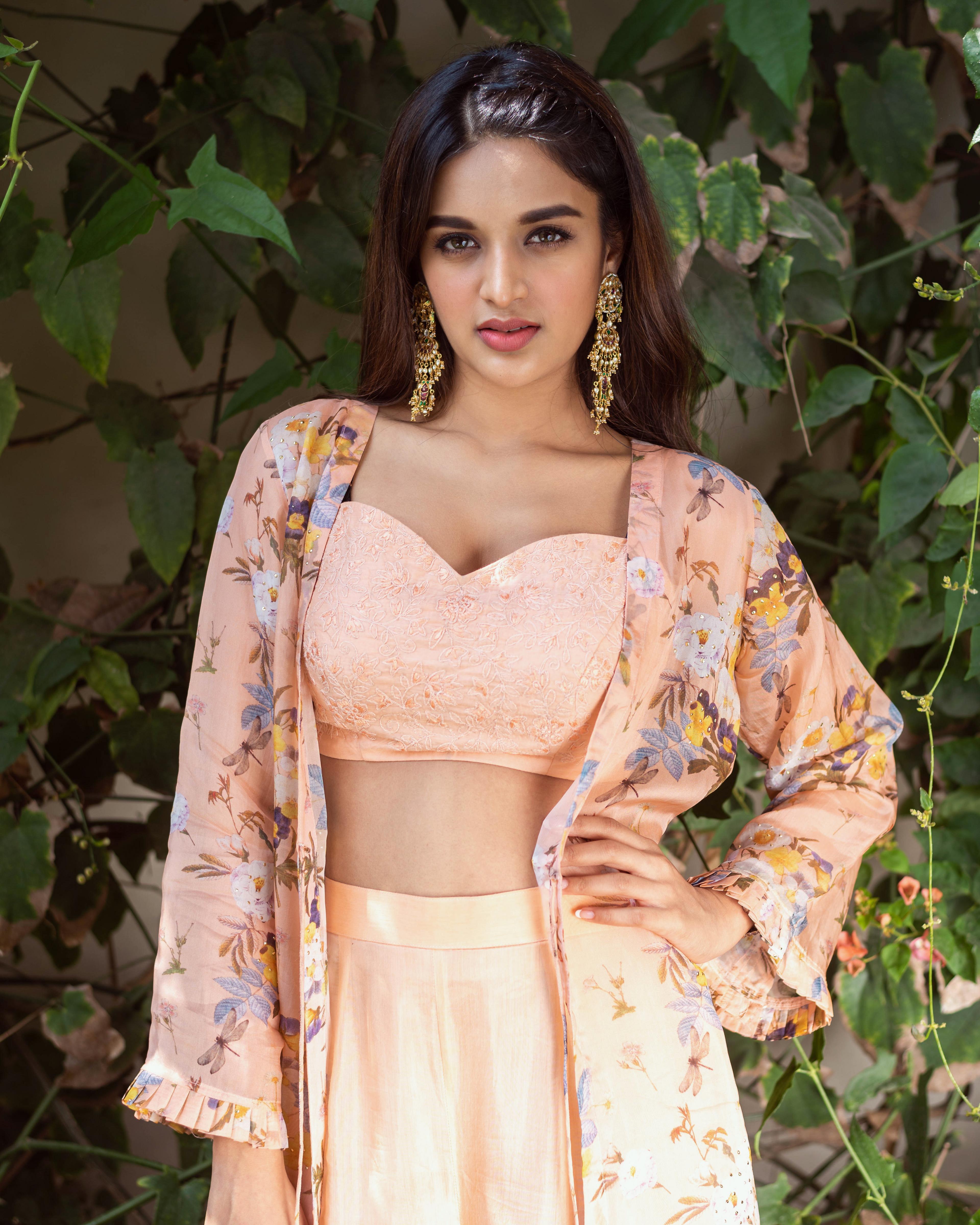 Nidhhi Agerwal, Atriz indiana, Atriz telugu