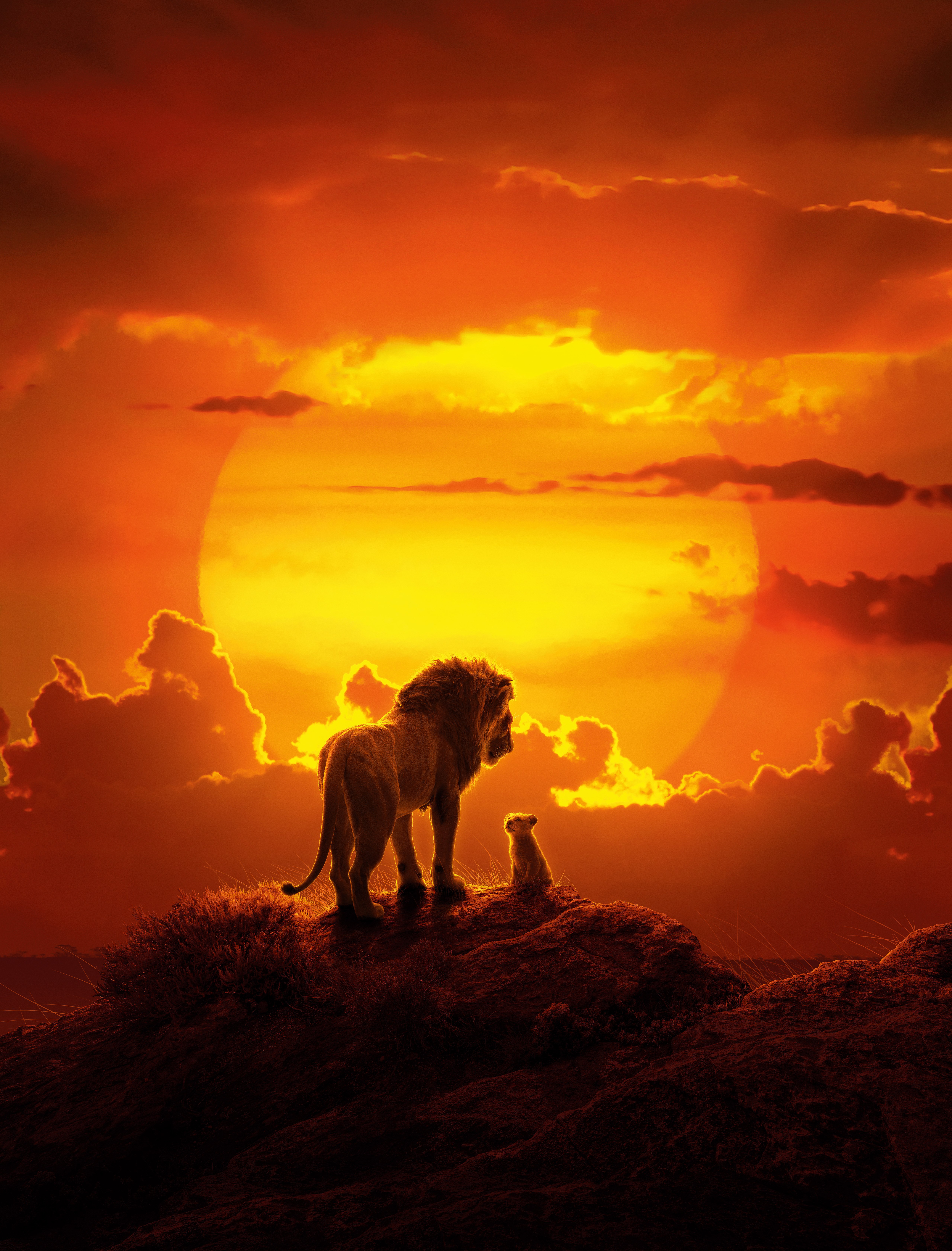 O Rei Leão, Simba, Mufasa, Filhote de leão, Animação