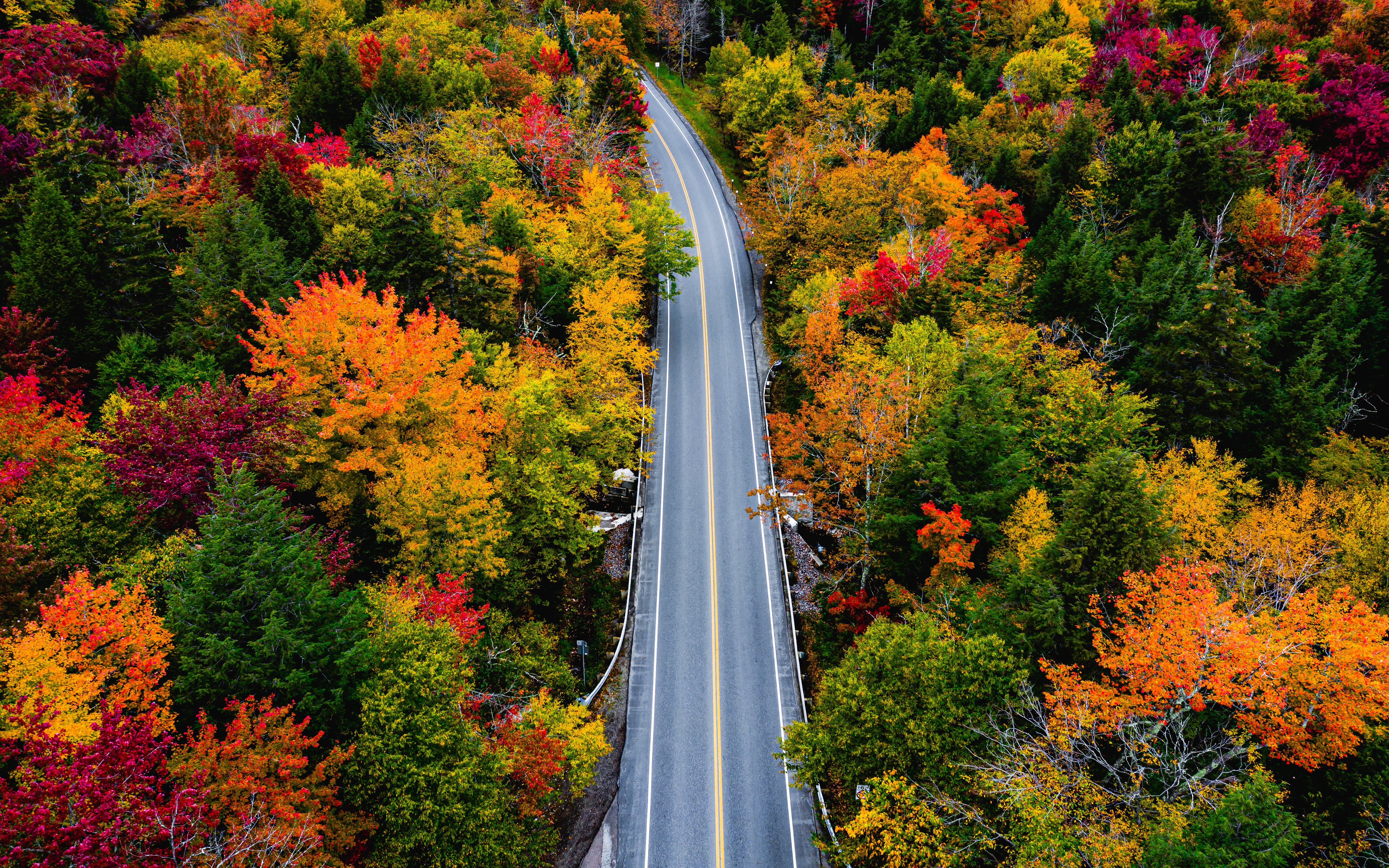 Outono, Paisagem, Estrada, Bordos, Cores de outono, EUA, Estrada rural, 5K