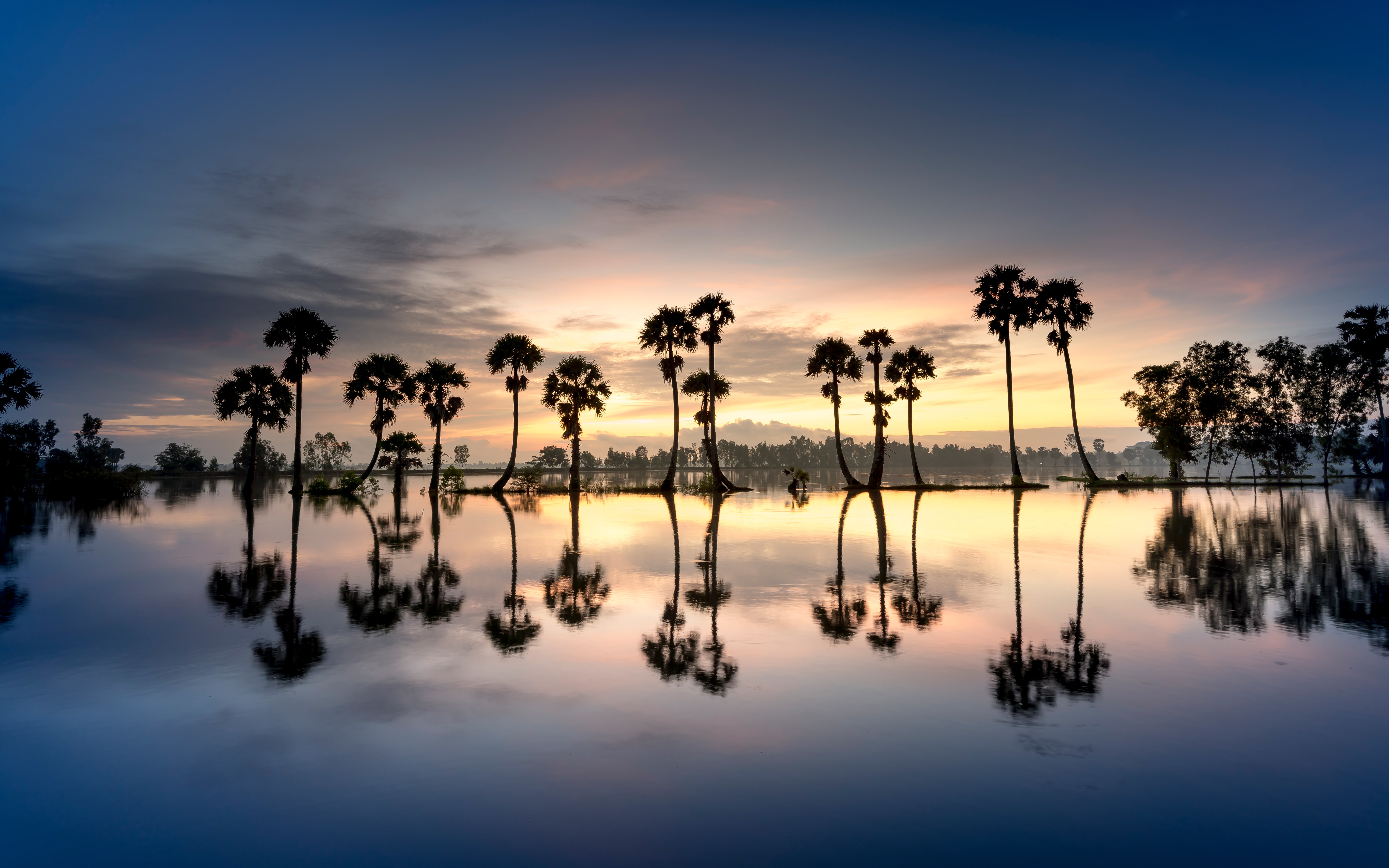Palmeiras, Silhueta, 8K, Reflexo, Corpo d'água