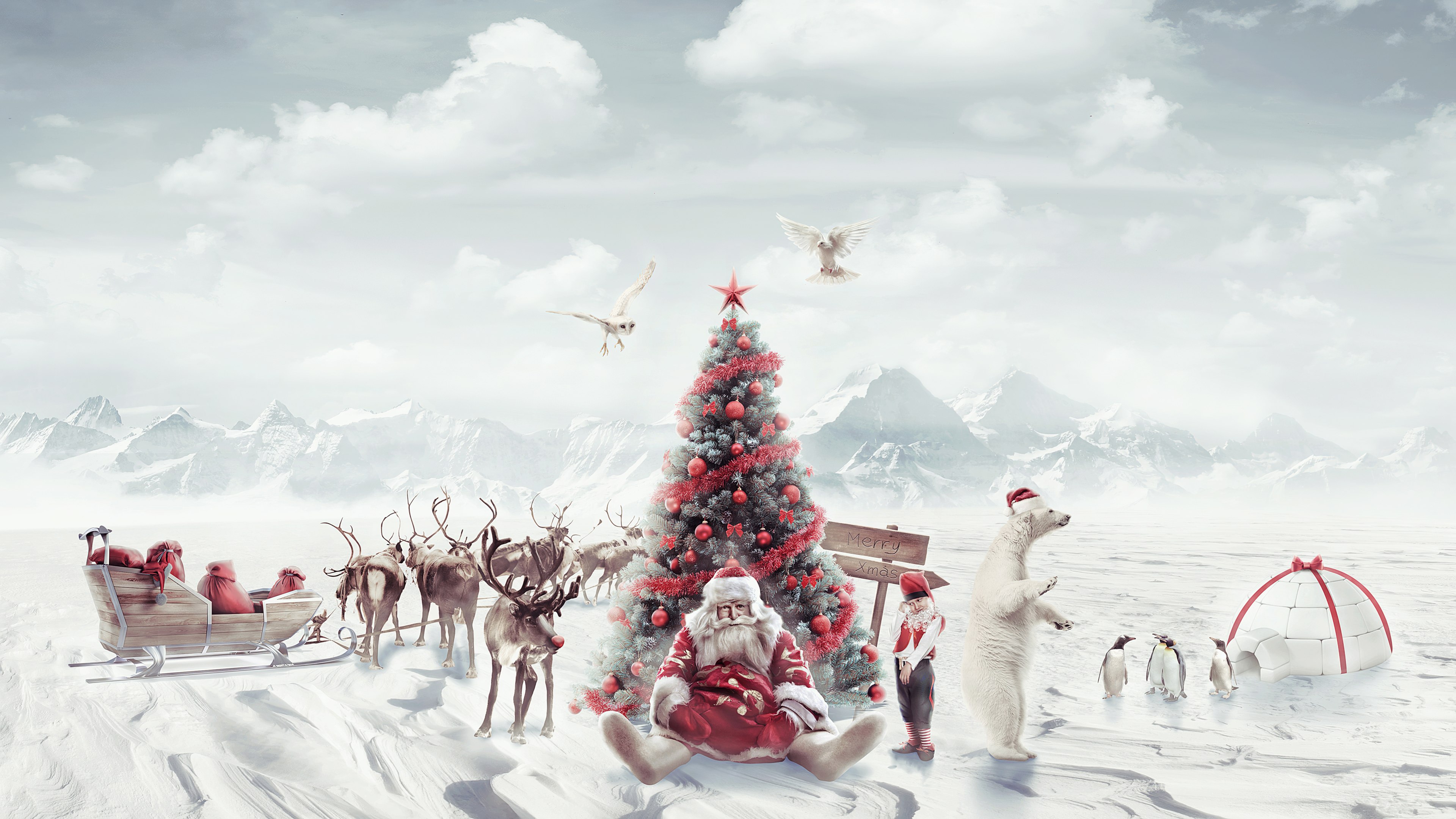 Papai Noel, Árvore de Natal, Pinguins, Natal estético, Montanhas de inverno, Carruagem de renas, Navidad, Noel, Trenó, Dezembro