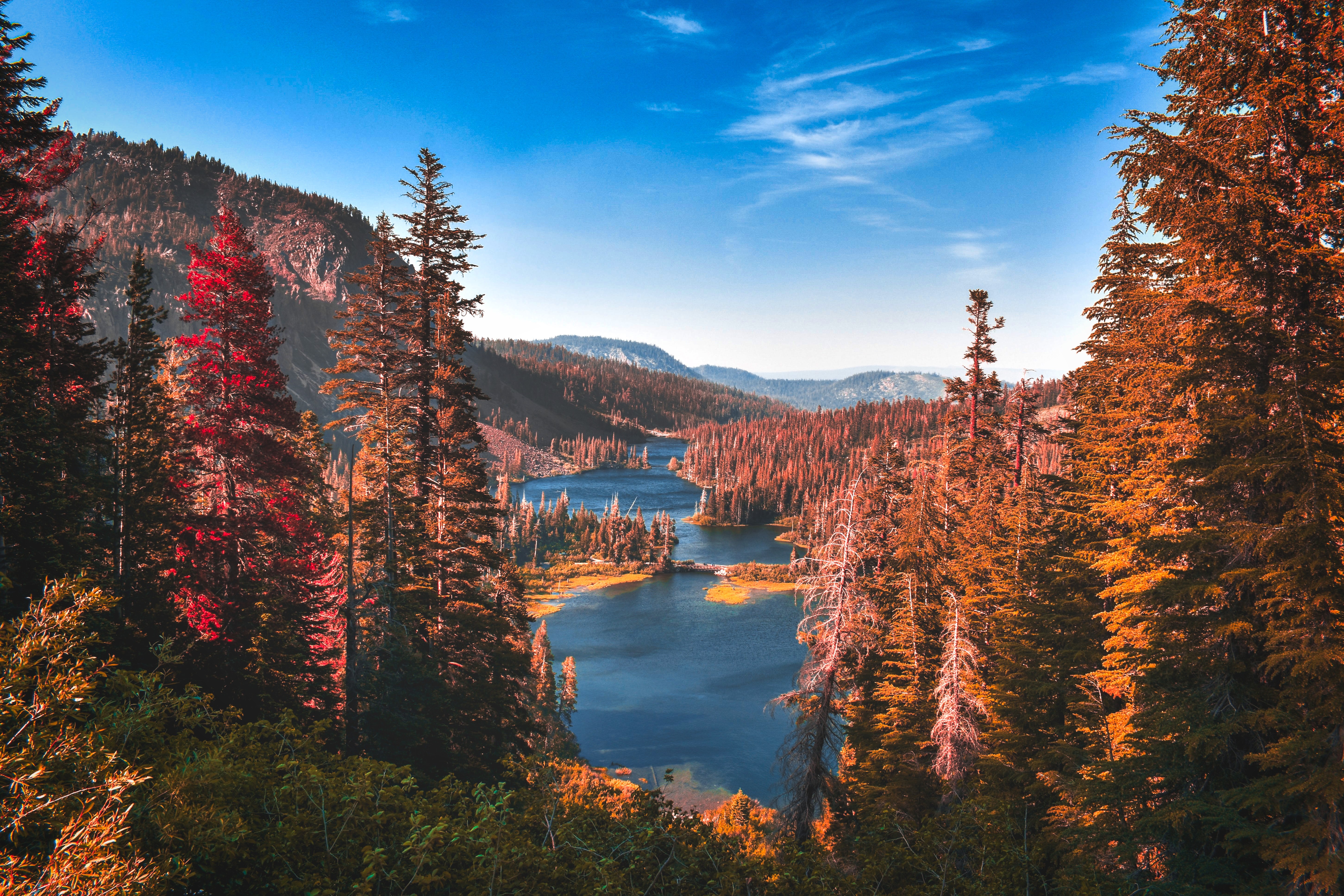 Parque Nacional de Yosemite, Rio, Floresta, Outono, Cenário, Paisagem, Árvores, Vale