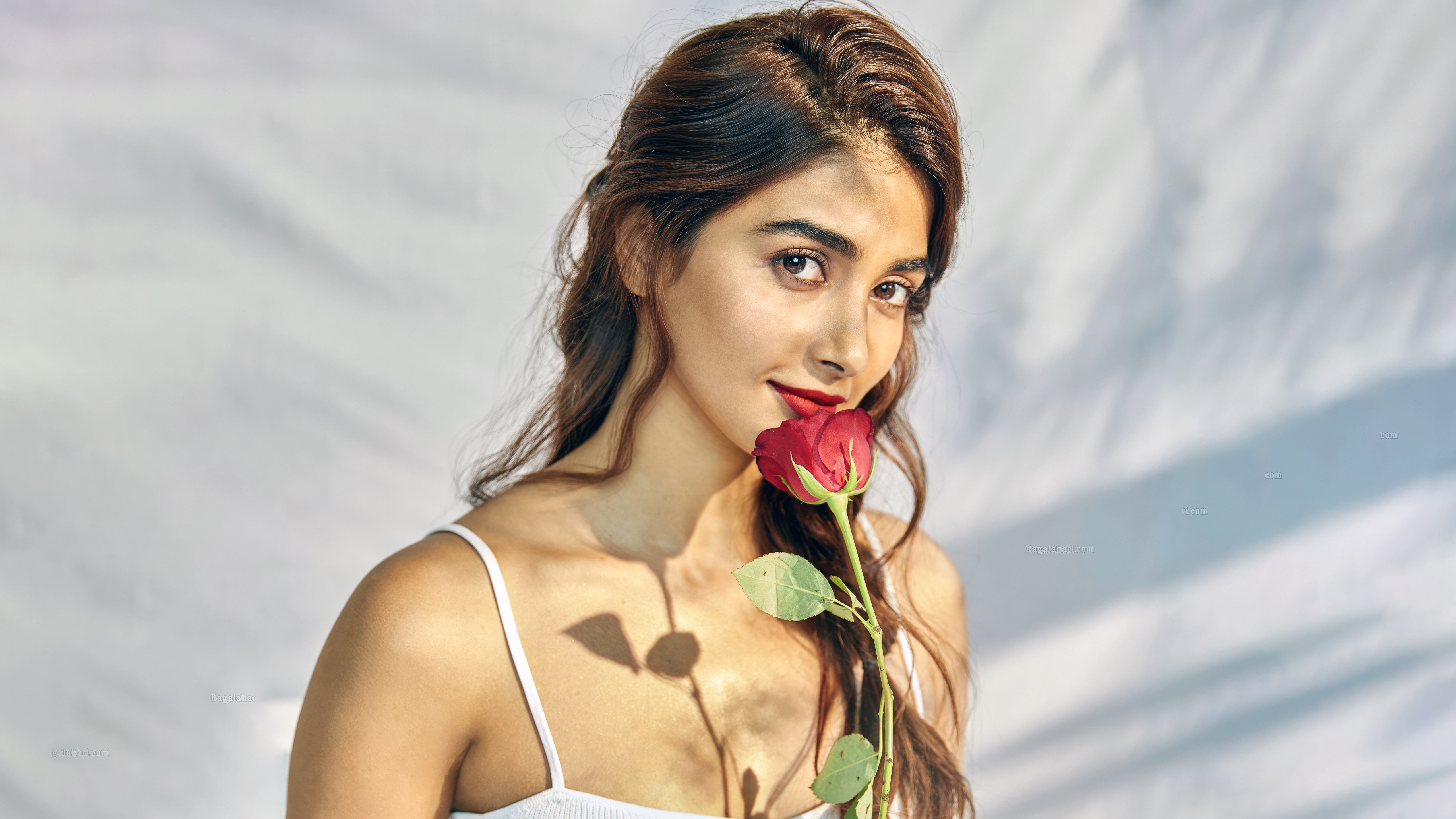 Pooja Hegde, Flor de rosa, 5K, Atriz indiana