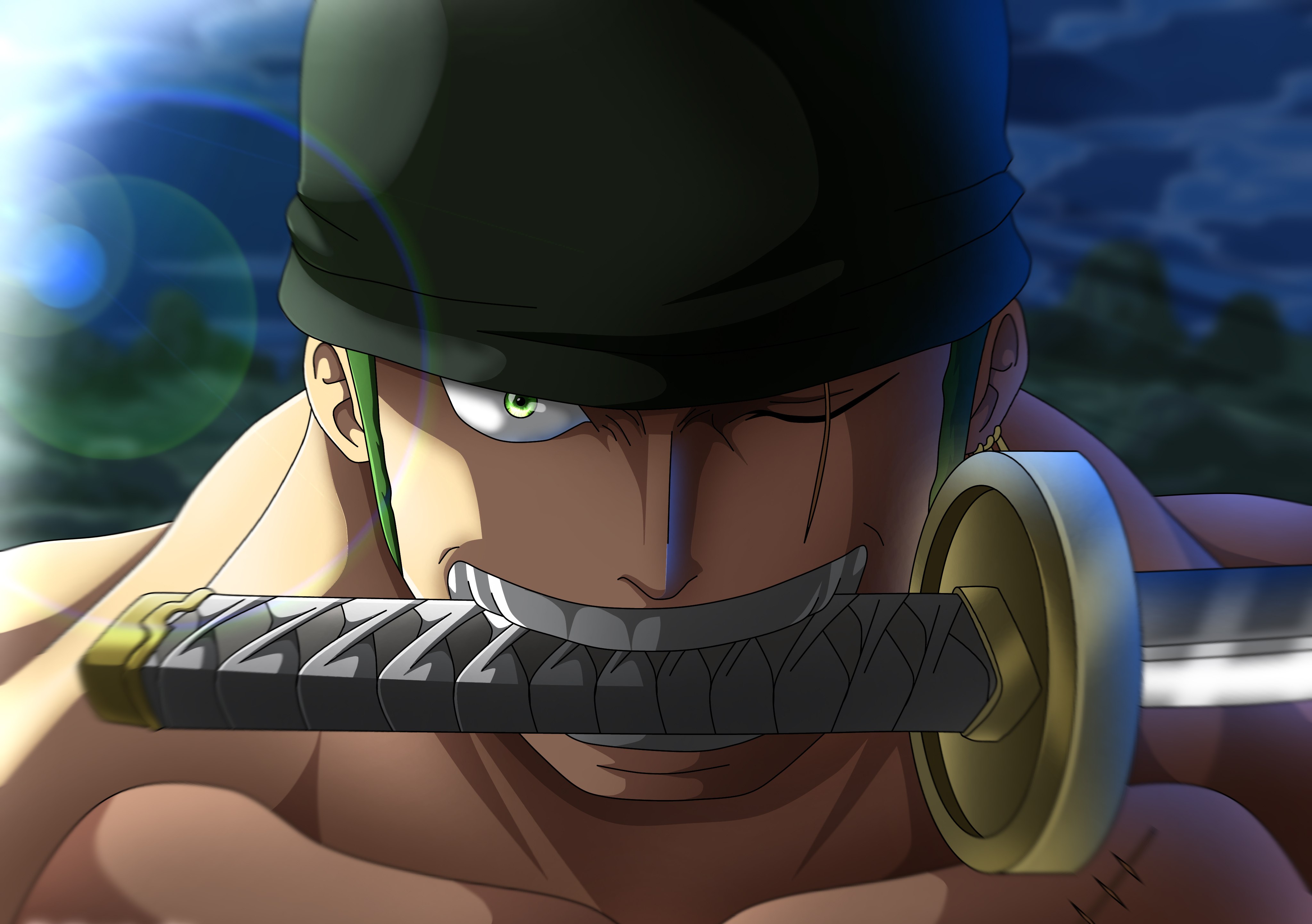 Roronoa Zoro, Katana, Wado Ichimonji, One Piece
