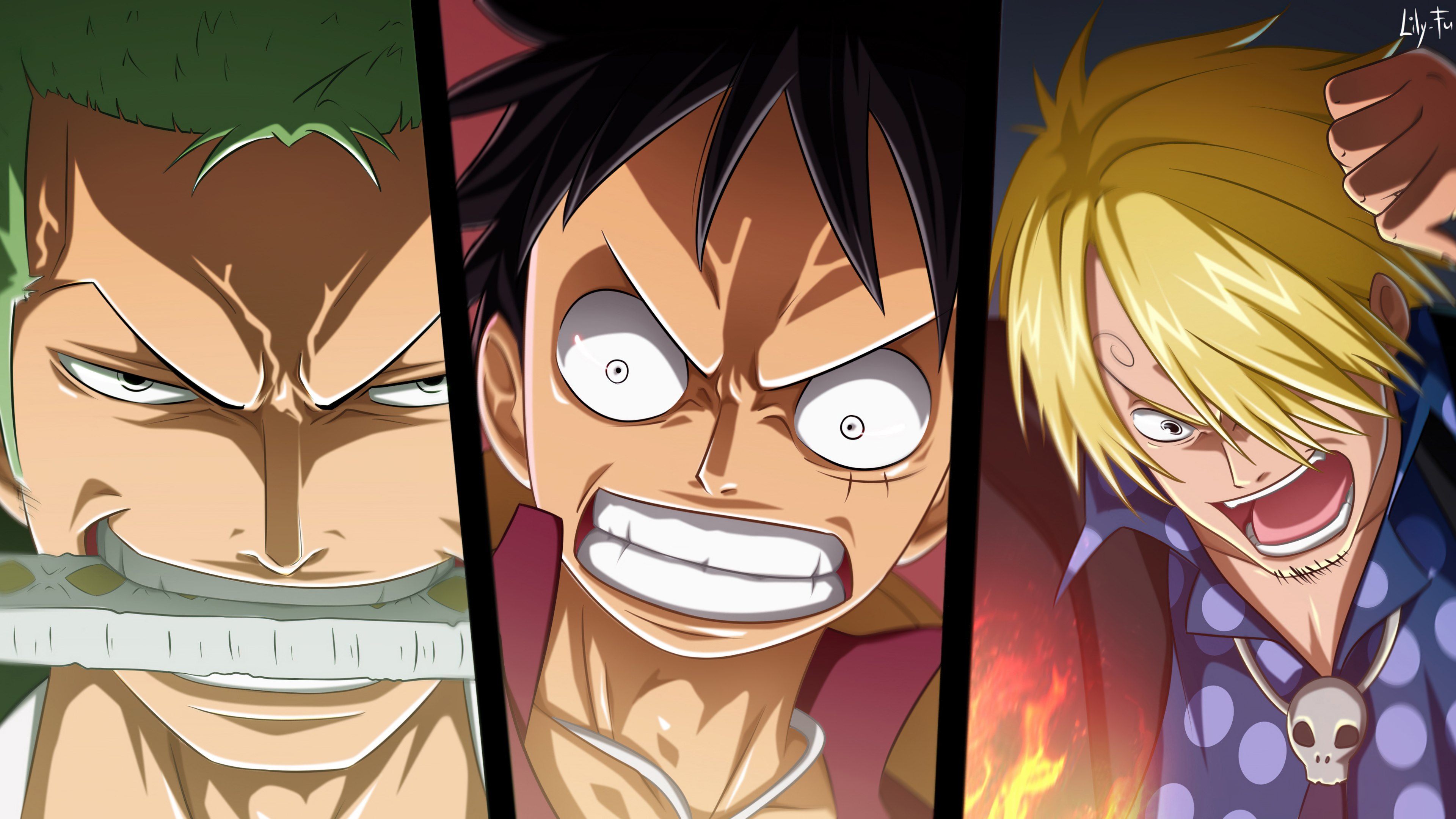 Roronoa Zoro, Monkey D. Ruffy, Sanji, One Piece