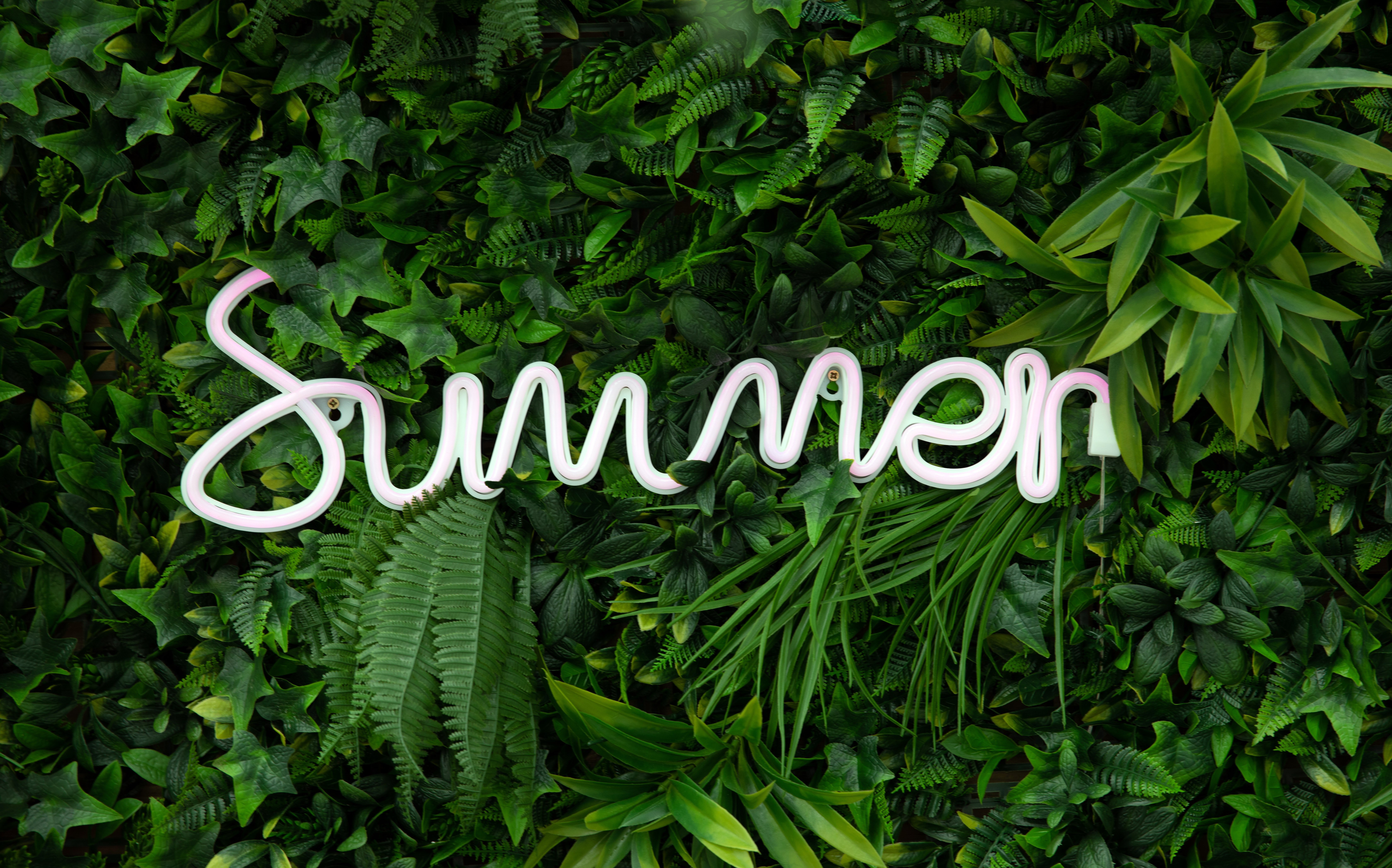 Verão, Letreiro de neon, Estética verde, Plantas, Samambaias, 5K