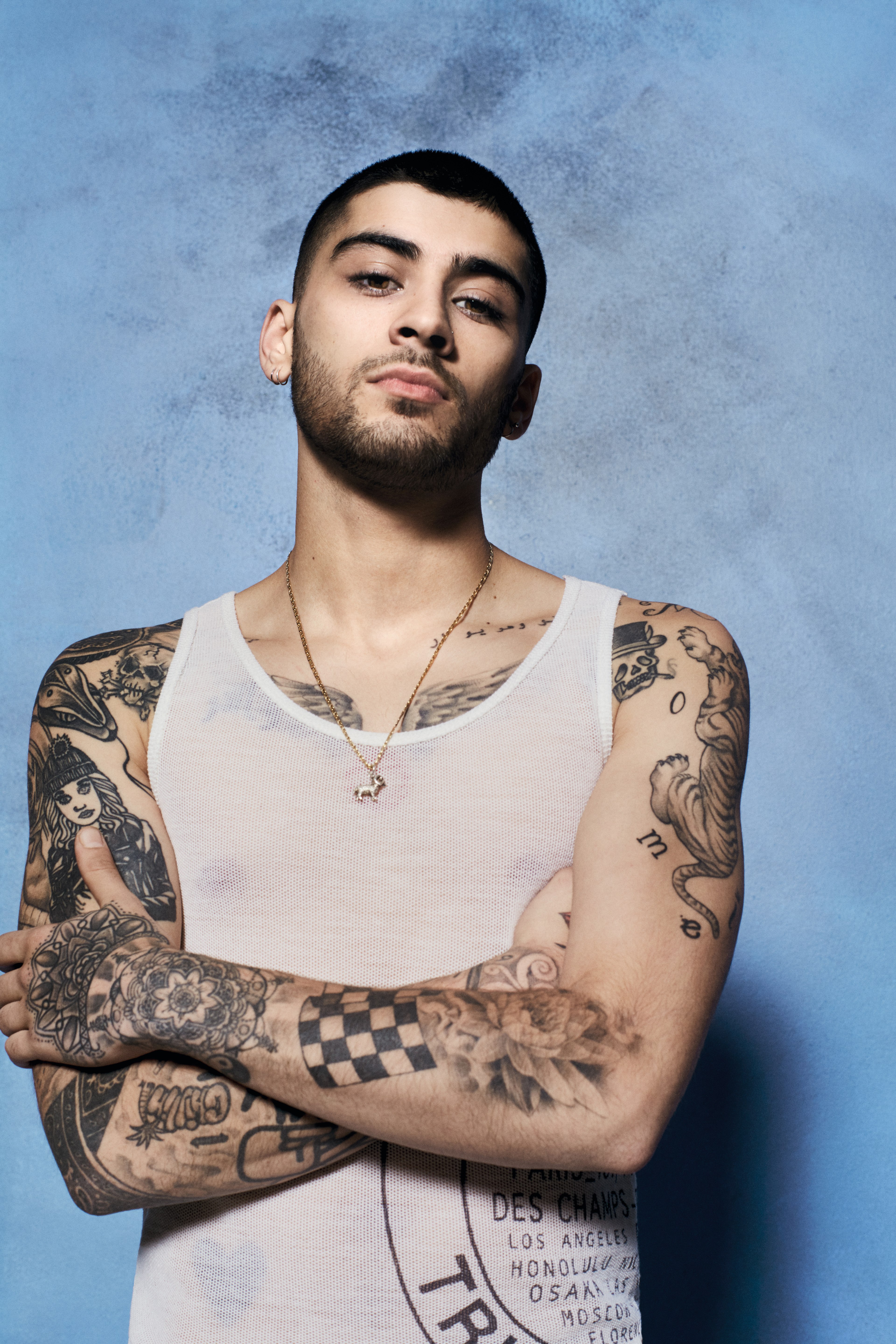Zayn Malik, Cantor inglês, Cantor pop inglês